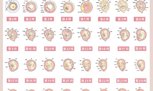 无糖型妇科颗粒网无糖颗粒和有糖颗粒知识网站,分享无糖型妇科颗粒有哪些大全